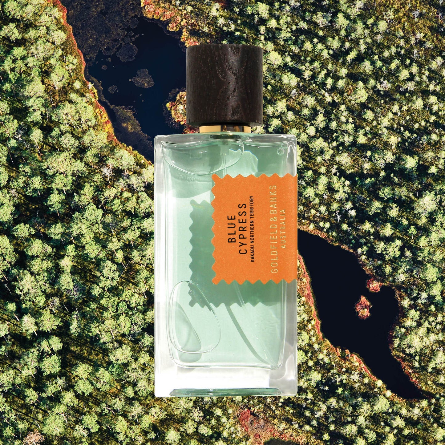 Blue Cypress - 100ml