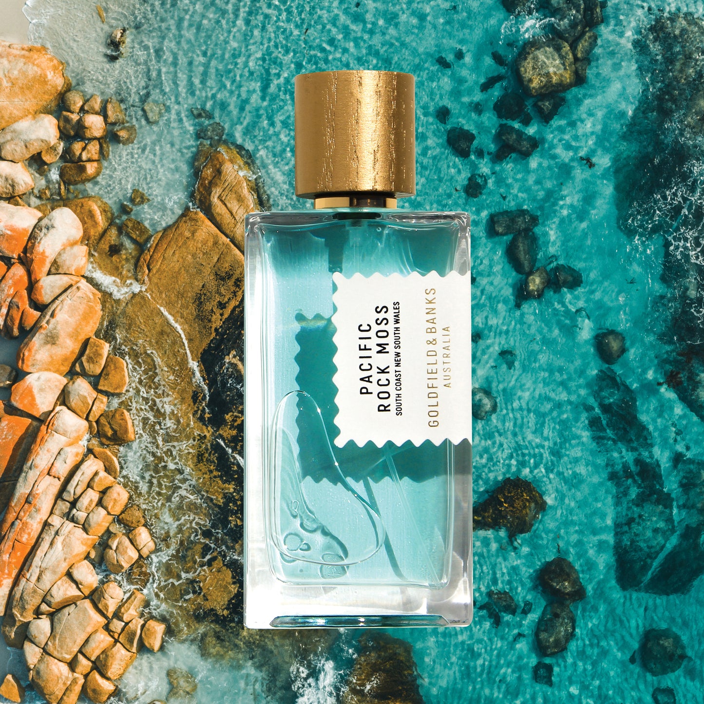 Pacific Rock Moss - 100ml