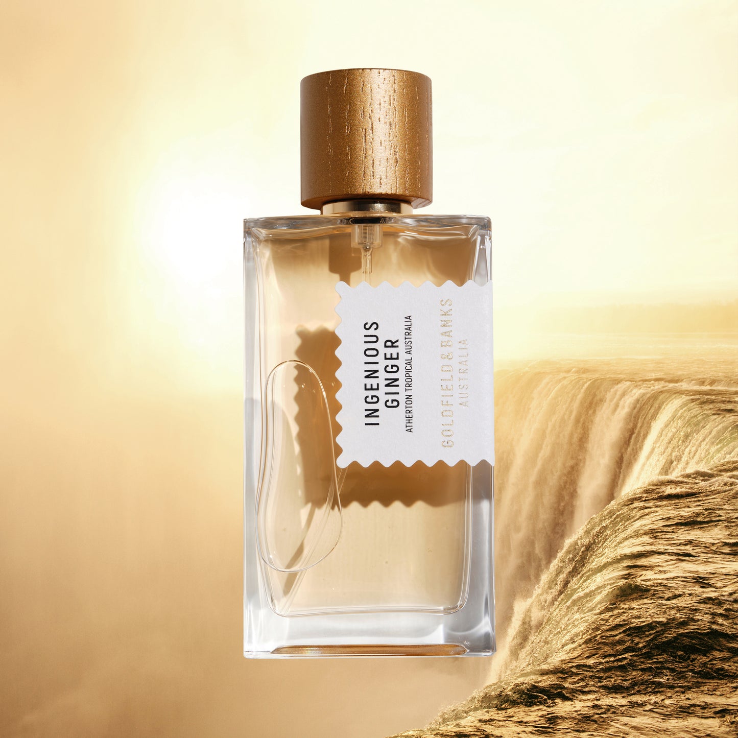 Ingenious Ginger - 100ml