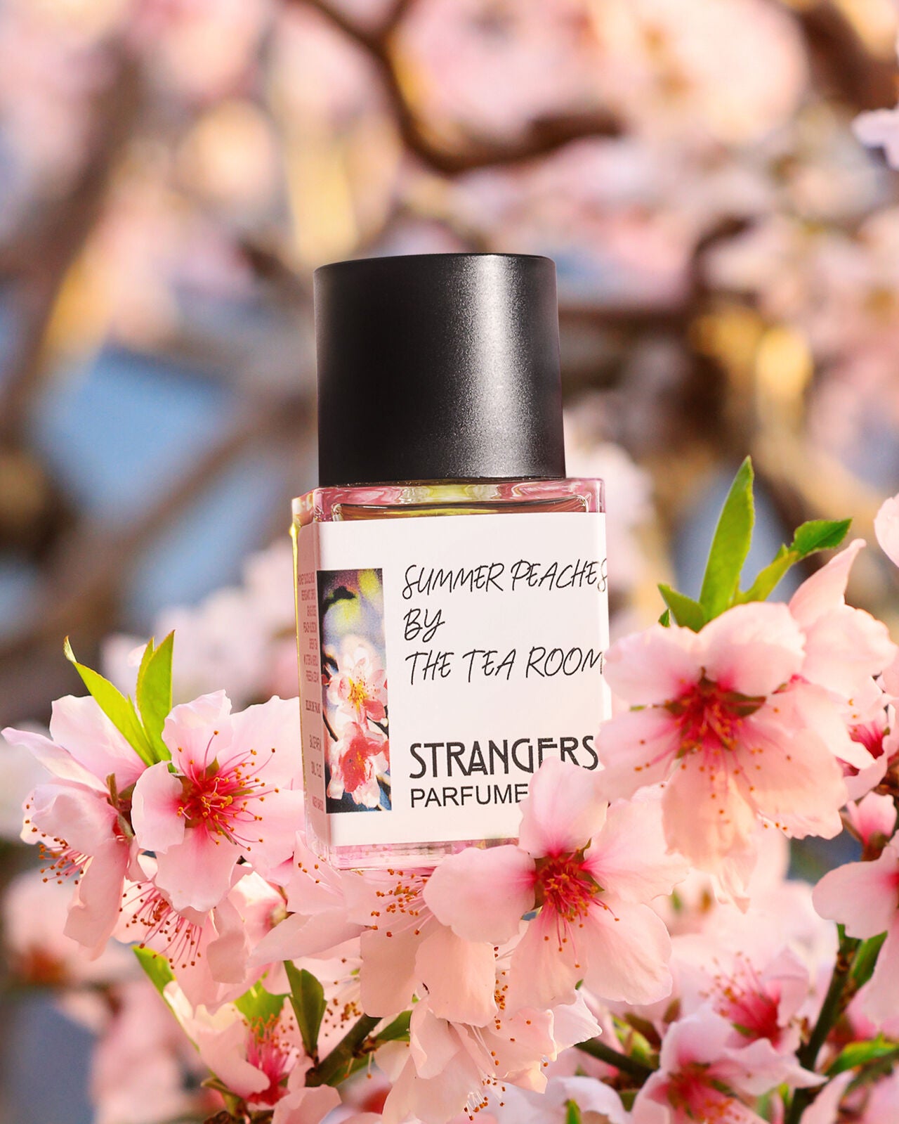 SUMMER PEACHES BY THE TEA ROOM