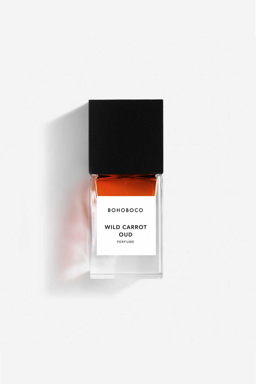Wild Carrot - Oud 50ml