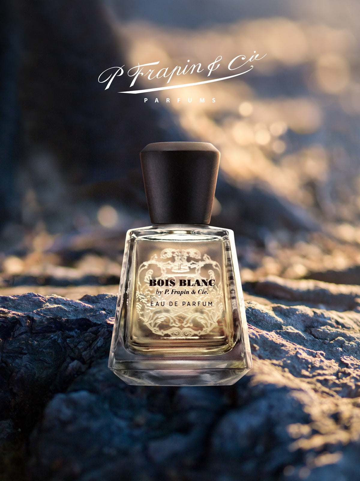 Bois Blanc - 100ml