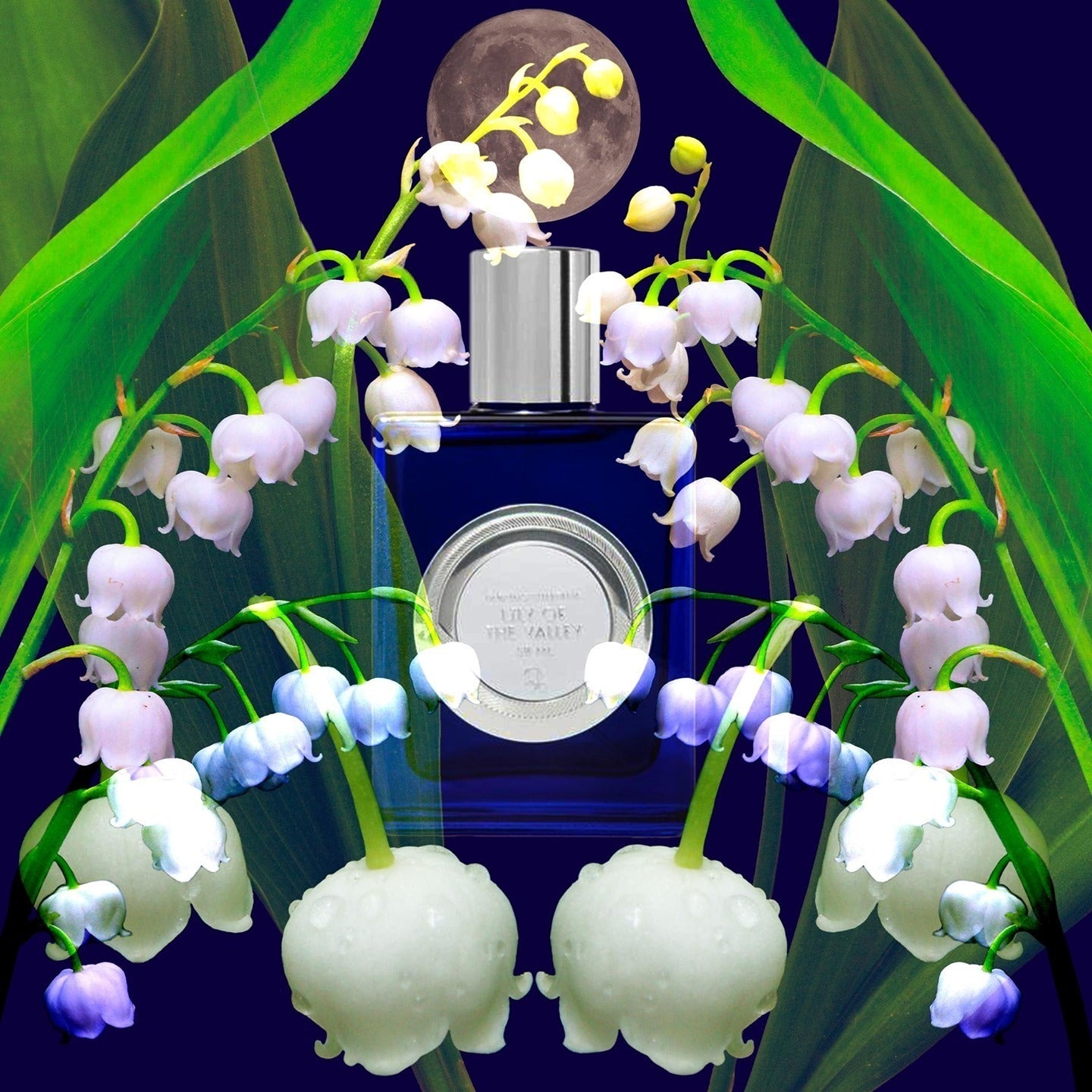 Lily of the Valley - 50mL Full Size Bottle Fragrance