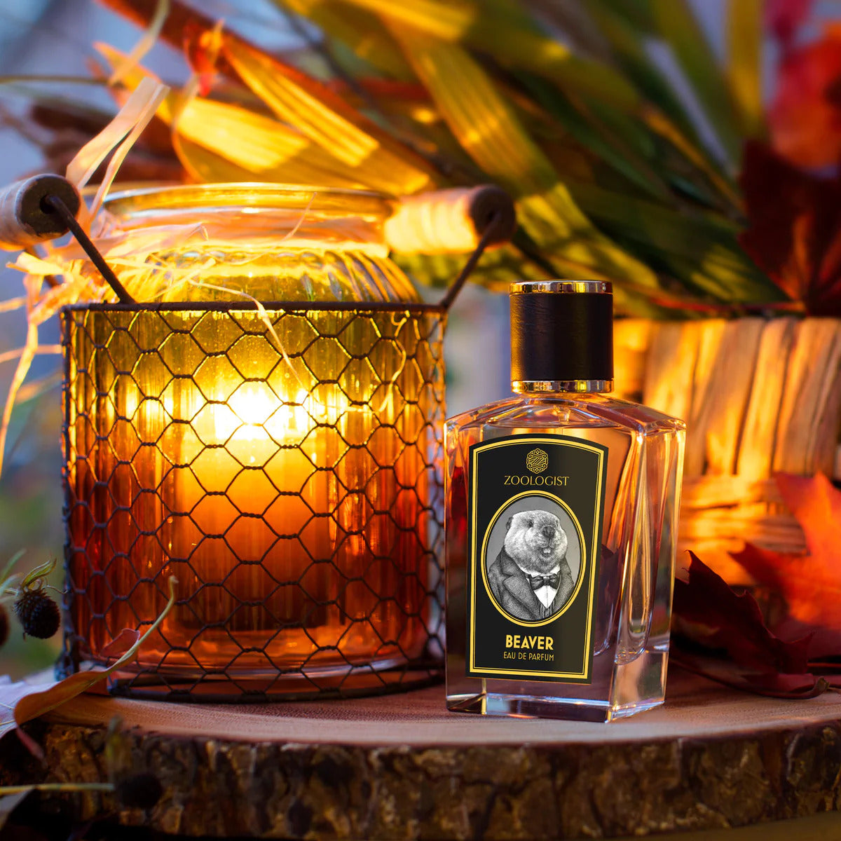 Beaver - 60ml