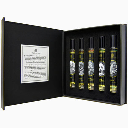 Travel Spray Sets 5x10ml bottle